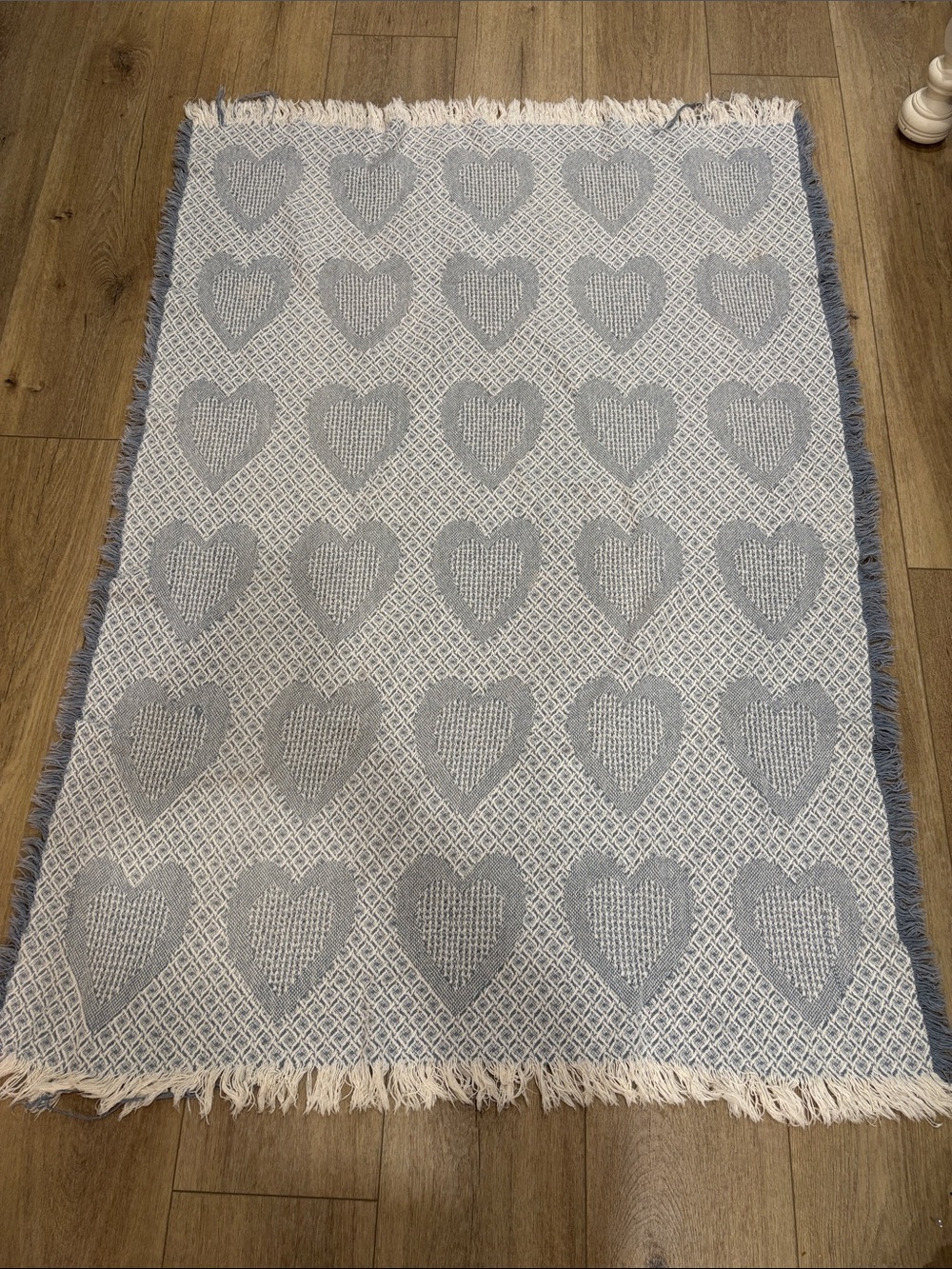 Textured Heart Pattern Throw Blanket in Light Blue and White